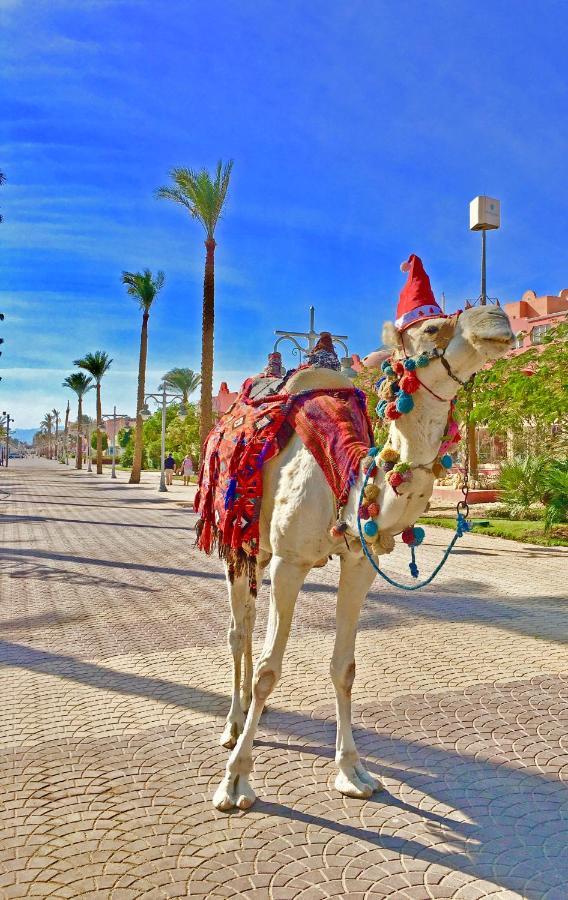 شقة الغردقة  في Modern Mountain View On The Touristic Promenade المظهر الخارجي الصورة