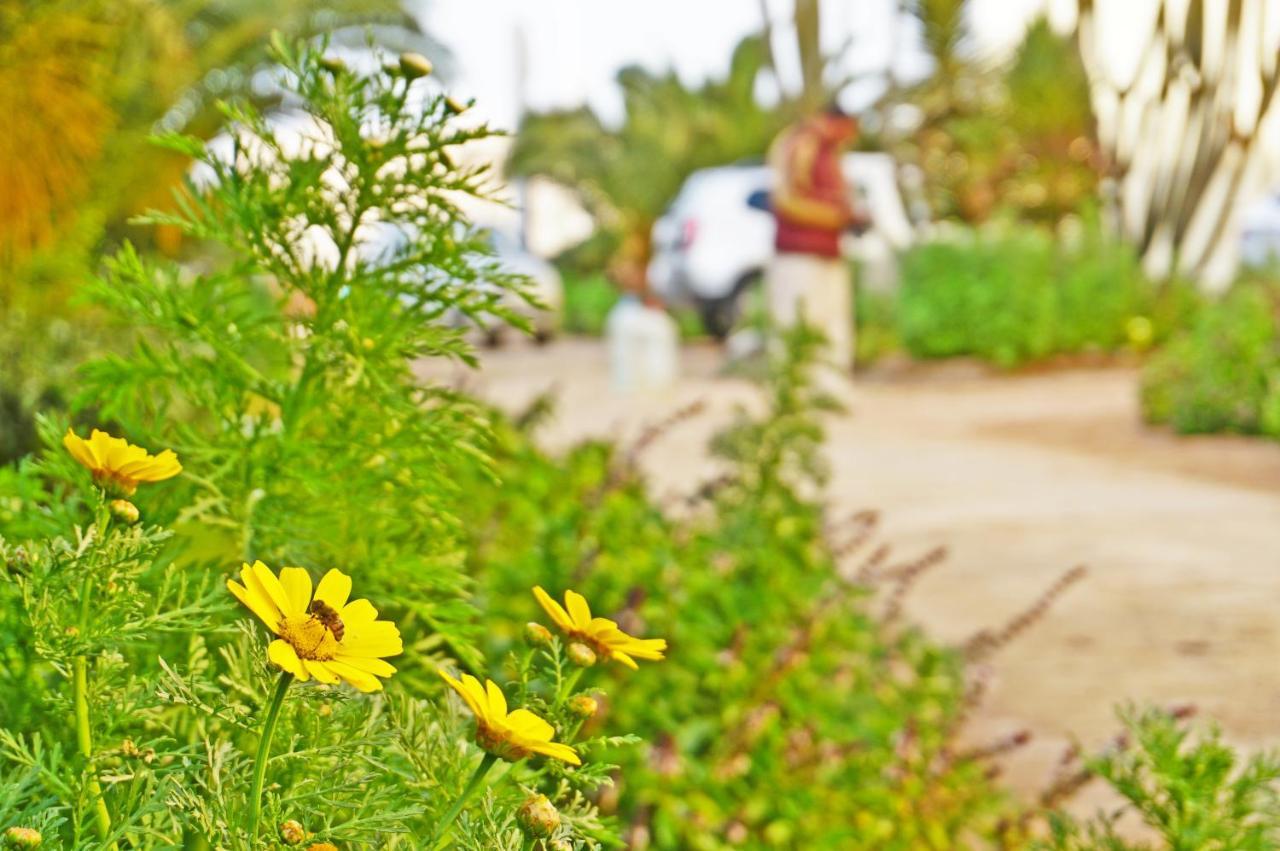 شقة الغردقة  في Modern Mountain View On The Touristic Promenade المظهر الخارجي الصورة